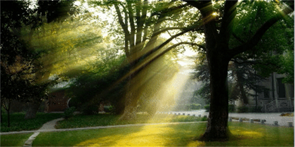 ps光束大师插件