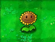 植物大战僵尸95版2024最新版