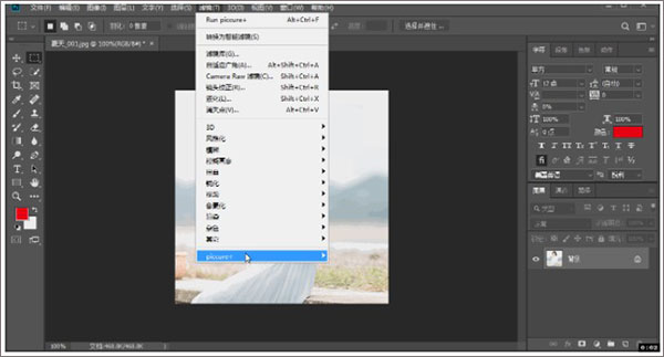 piccure plus(ps照片去模糊软件)