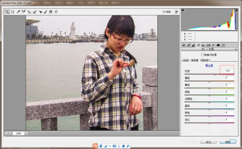 Adobe Camera Raw14.5中文版