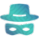 Starus Web Detective(浏览器数据恢复工具) v3.8