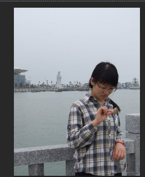 Adobe Camera Raw14.5中文版