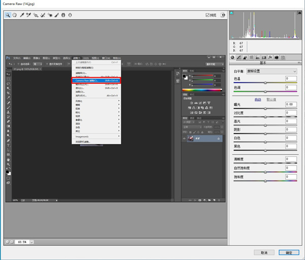 Adobe Camera Raw14.5中文版