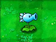 植物大战僵尸95版2024最新版