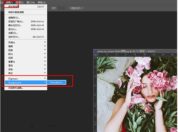 Portraiture磨皮插件