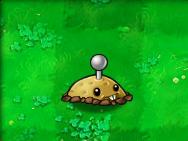 植物大战僵尸95版2024最新版