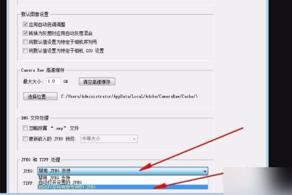 camera raw13.2中文版