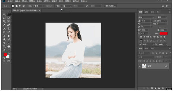 piccure plus(ps照片去模糊软件)