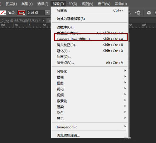 Adobe Camera Raw14.5中文版