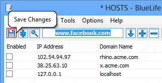BlueLife Hosts Editor(host文件编辑工具)