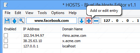 BlueLife Hosts Editor(host文件编辑工具)
