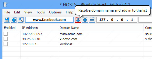 BlueLife Hosts Editor(host文件编辑工具)