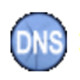 Simple DNS Plus 绿色版