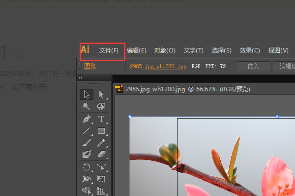 Adobe Illustrator 2018中文版