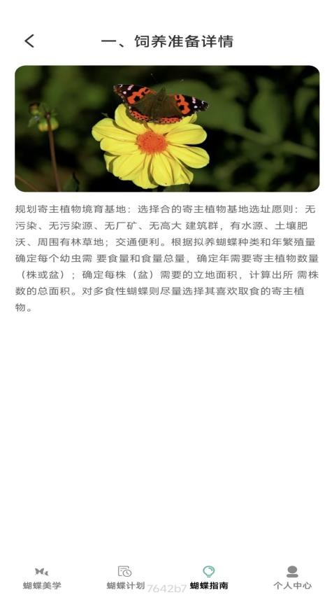 蝴蝶乐刷纯净版