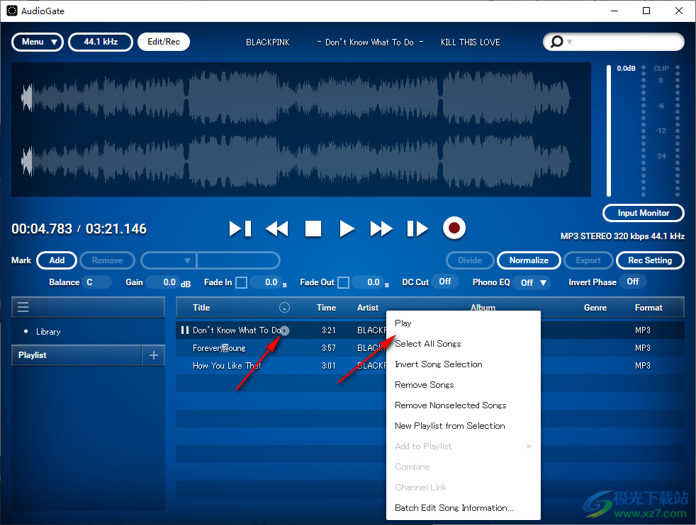 KORG AudioGate 4高质量音频播放器