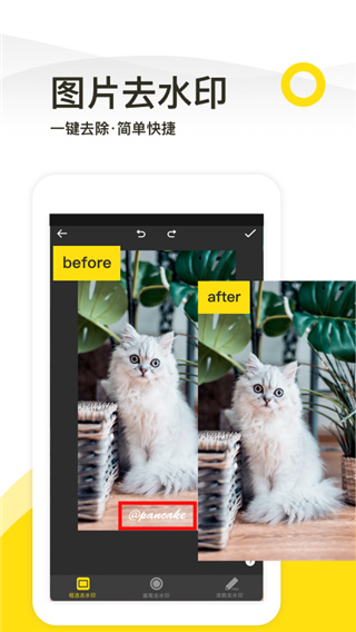 一键去水印专业版