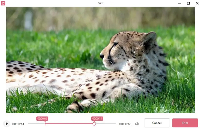 IceCream Video Converter视频转换器