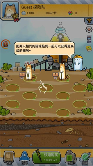 懒洋洋的宝藏猫官方最新版