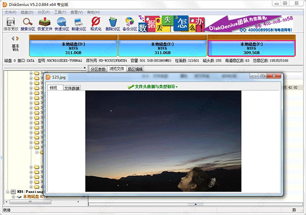 diskgenius单文件版