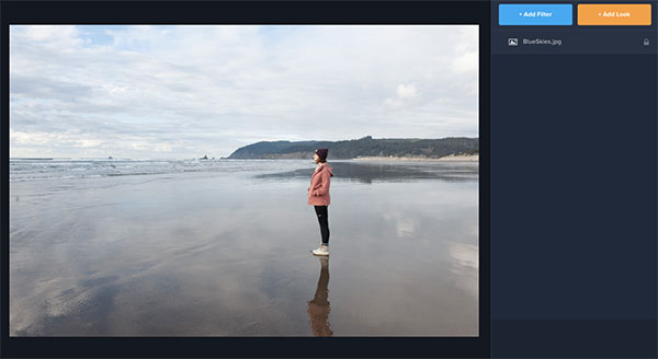 Topaz Studio 2(图片处理软件)