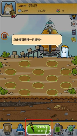 懒洋洋的宝藏猫官方最新版